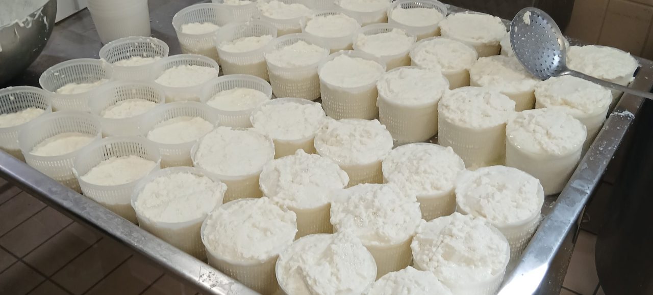 Mozzarella experience