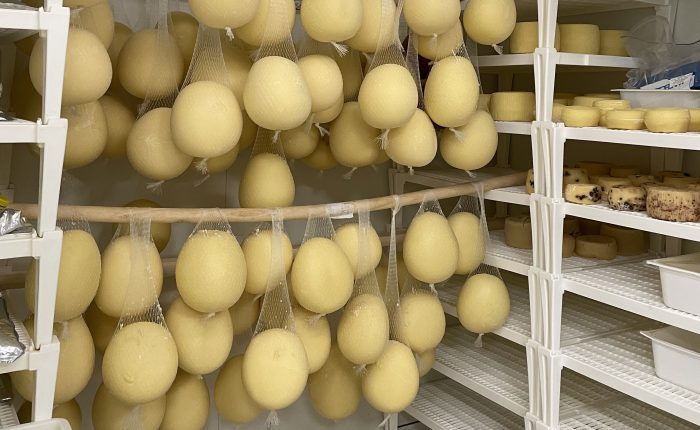 Mozzarella experience