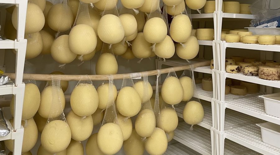 Mozzarella experience