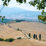 Tuscan-style hills with cypress road Rolling harvested hills with a cypress-lined country road and a farmhouse, the kind of countryside around wineries near Pisa
